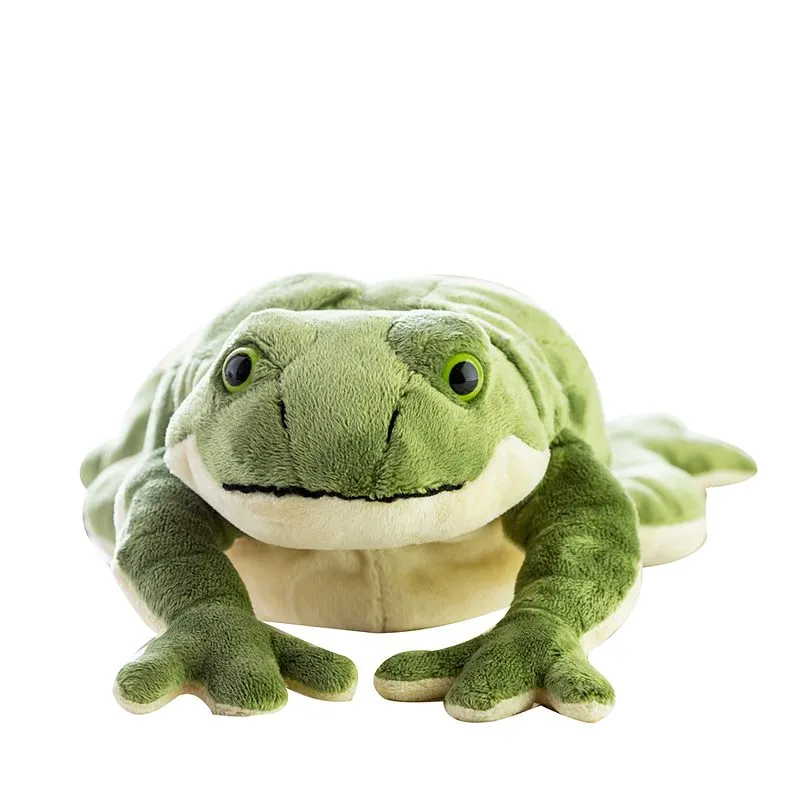Realistic Kawaii Frog Plush Toy