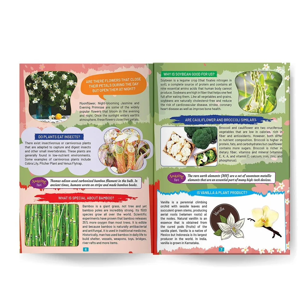 Young Minds Encyclopedia - Set of 2 Books - Human Body and Nature Encyclopedia For Kids
